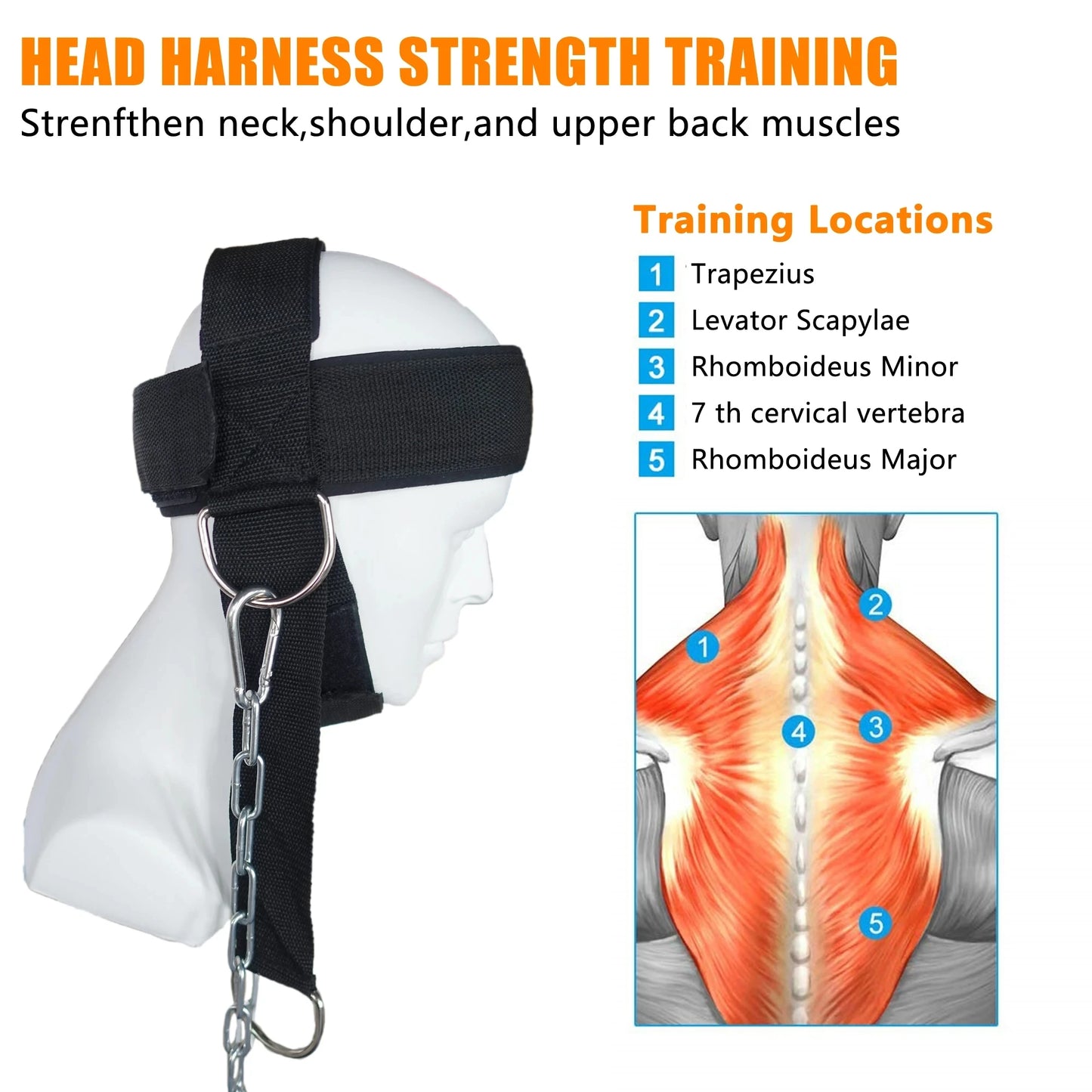 Head Harness Sports Neck Training Exerciser Strap Muscle Builder Home Gym for Strength Fitness Weight Lifting Workout Boxing MMA